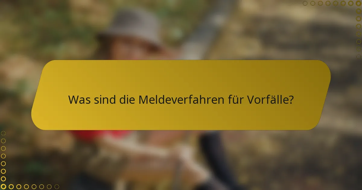 Was sind die Meldeverfahren für Vorfälle?