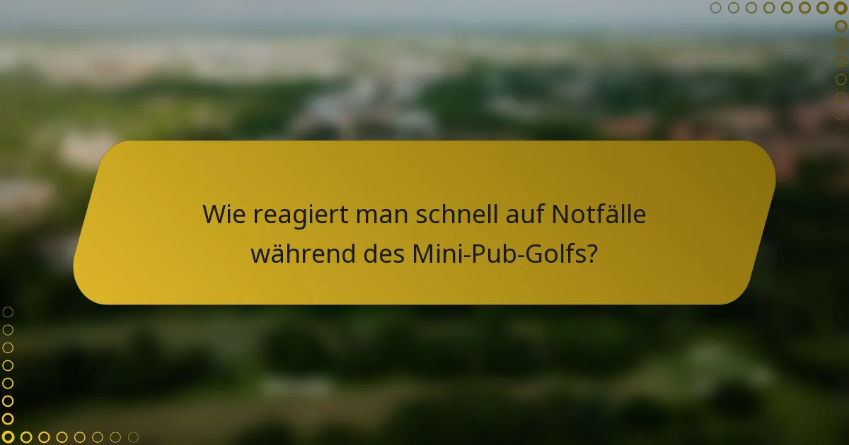 Wie reagiert man schnell auf Notfälle während des Mini-Pub-Golfs?